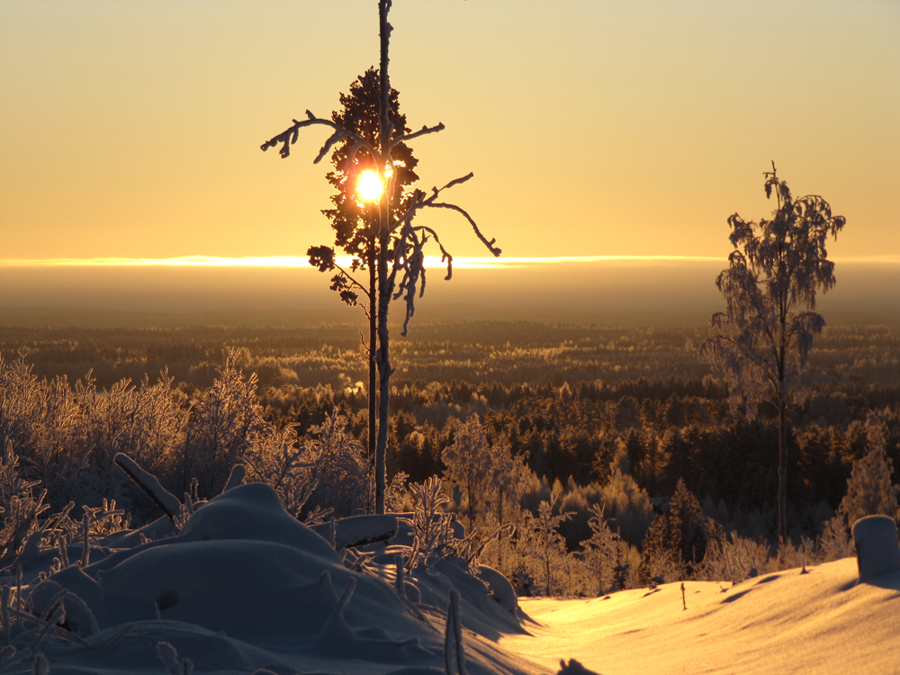 lumimaisema