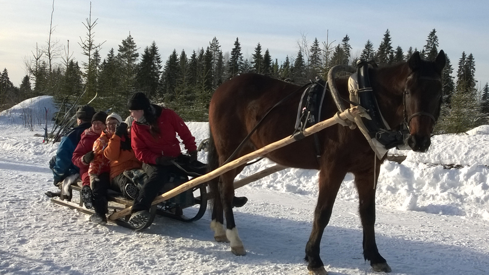 kuvialankamaalta